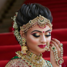 Grand saree 2025 for wedding